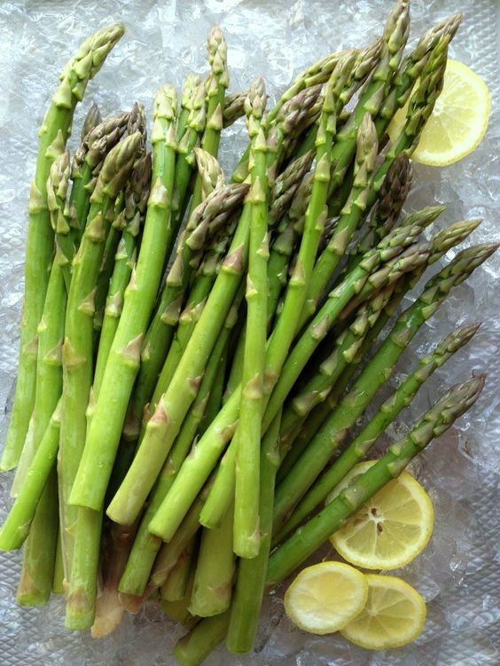 How to grow asparagus for beginners effectively and efficiently 7 09363099c401d2ce49279d934ab30530