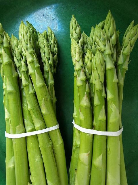 How to grow asparagus for beginners effectively and efficiently 2 2852745310a44395fd473ed037c3feb6