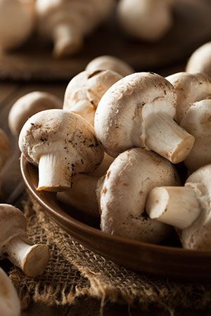 How to grow button mushrooms at home 6 4a15f0a71d2fbabd7fe5de3b8e7acdf6