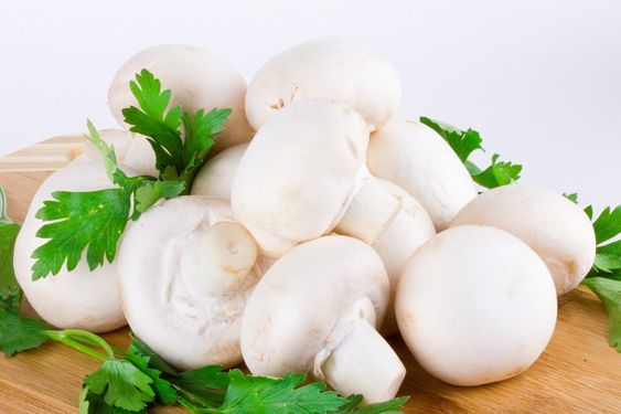 How to grow button mushrooms at home 2 82e58ba26e6795d5732883d93ea5acce