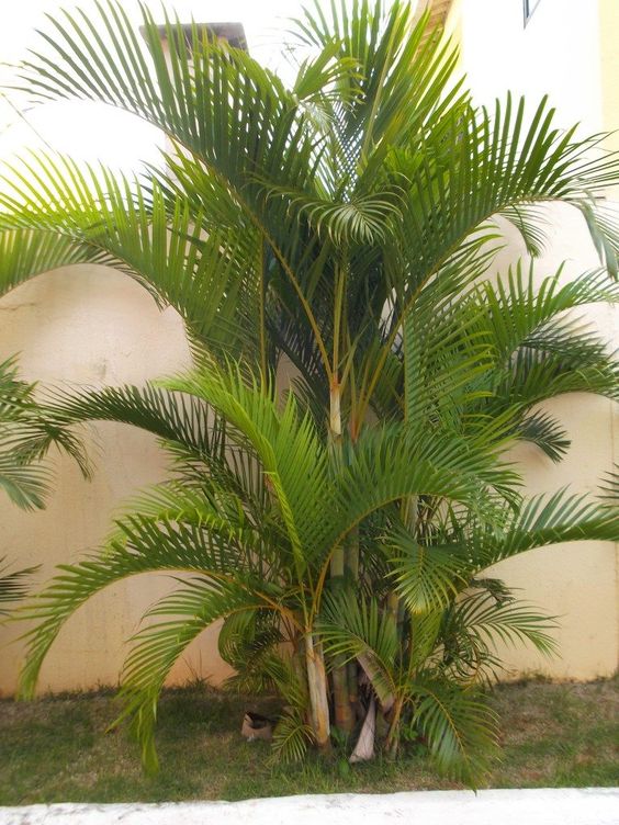 1e4c38f0c0611377359ab7b4fd10f47e