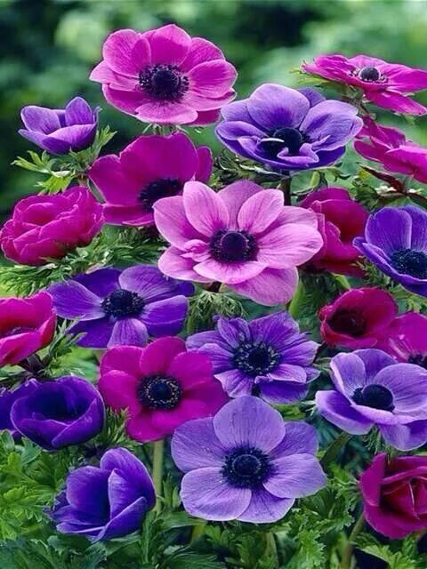 48f93d5886a3546c30628816eb23bf59