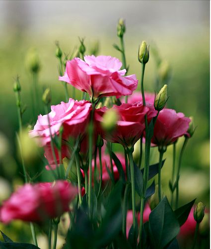 7d1f07b6b6b43b8557398d0d94a7da9a