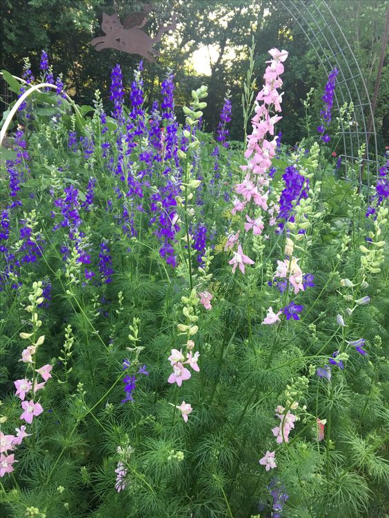 Meaningful origin and beautiful violet flower arrangements. 2 8c78c748b8fd9238fe8a8ebf8707cd0a